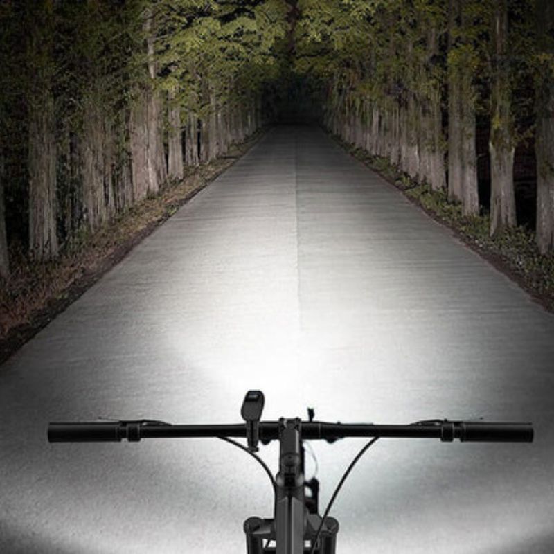 Straight road illuminated by the bike headlight at night
